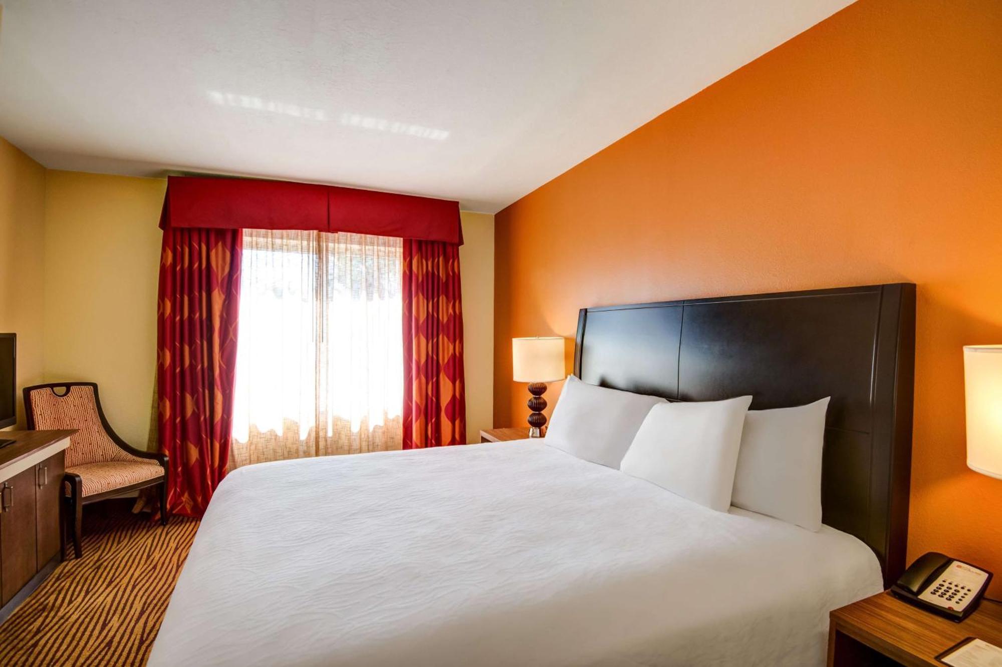 Hilton Garden Inn Tampa Ybor Historic District Dış mekan fotoğraf